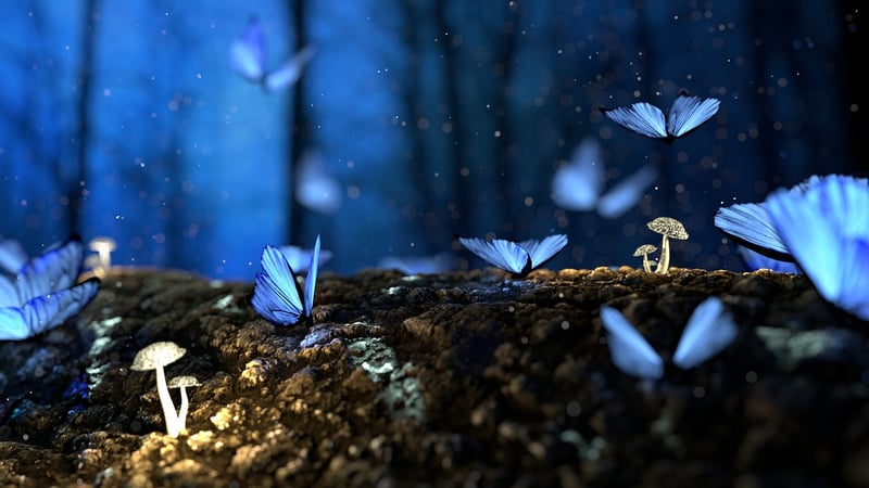 Enchanted Forest Setting